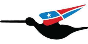 A stylized illustration of a black bird in flight, with wings featuring a red, blue, and white pattern resembling the Puerto Rican flag, including a white star on blue.