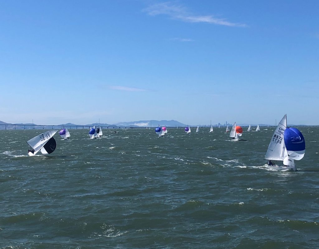 Dozens of small sailboats race across choppy water under a clear blue sky, with colorful sails and distant hills visible on the horizon.