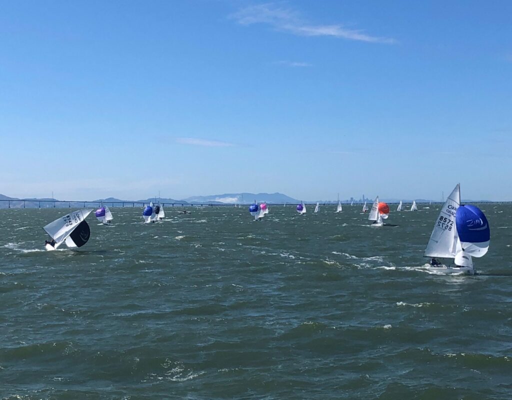 Dozens of small sailboats race across choppy water under a clear blue sky, with colorful sails and distant hills visible on the horizon.