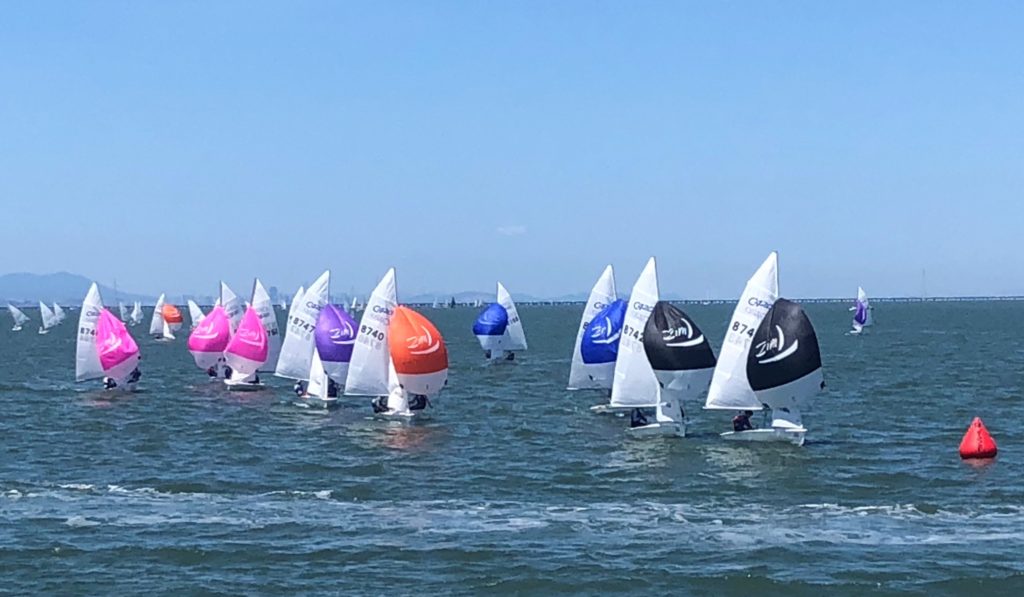 Colorful sailboats with spinnakers in shades of pink, purple, orange, and black race on open water under a clear blue sky, with a distant shoreline and mountains in the background.
