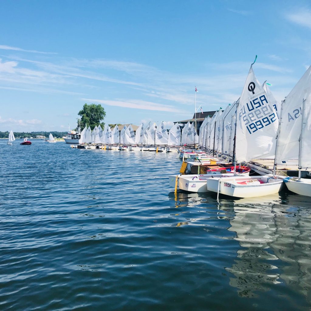 A row of small sailboats with white sails are docked along a wooden pier on a calm, sunny lake. More sailboats are visible on the water, and buildings and trees line the distant shore.