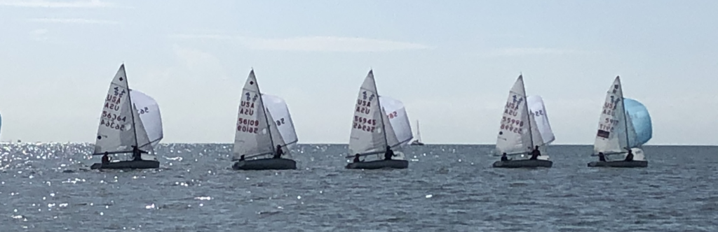 Five small sailboats with white sails are racing on open water under a bright sky, with the sunlight reflecting off the sea.