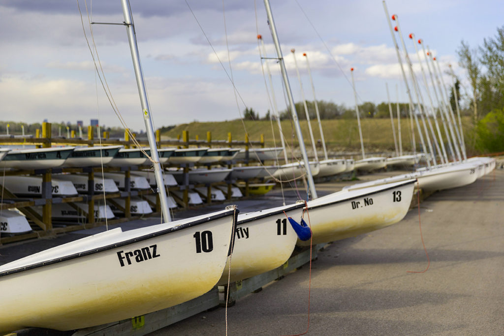 A row of white sailboats with tall masts sits docked on land, each boat labeled with names and numbers such as 'Franz 10' and 'Dr. No 13.' Trees and upturned boats are visible in the background.