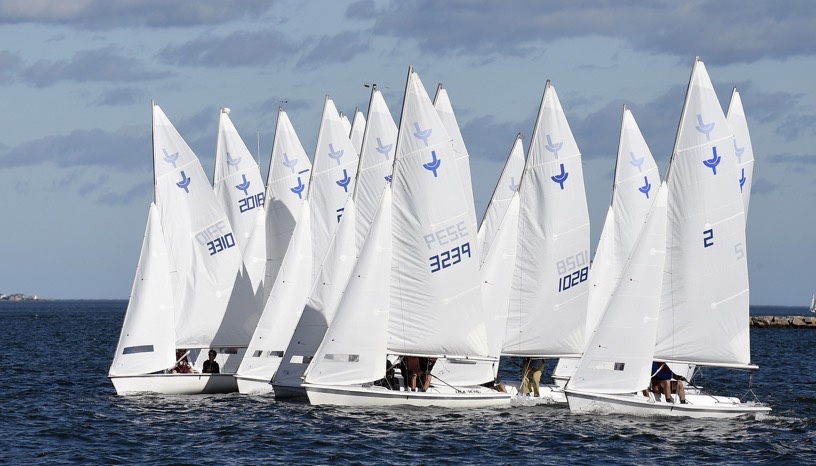 A group of white sailboats with people onboard race closely together on a blue sea under a partly cloudy sky. The sails display numbers and blue bird symbols. A rocky shoreline is visible in the background.