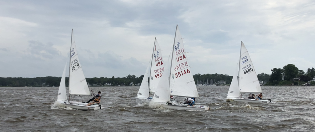 Four small sailboats with white sails race on a choppy lake under a cloudy sky, with trees and houses visible along the distant shoreline.