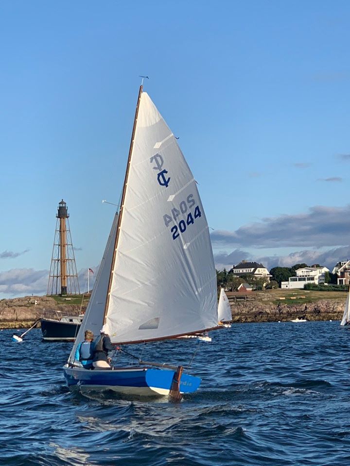 A small sailboat with the sail marked "2044" glides on blue water near a rocky shoreline, with a lighthouse and several houses visible in the background under a blue sky with scattered clouds.