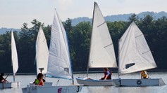 Several small sailboats with white sails are on a calm lake, each with one person onboard. Trees and hills are visible in the background under a mostly clear sky.