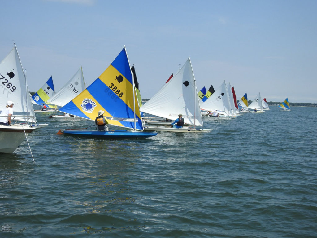 A group of small sailboats with colorful sails, including blue and yellow ones, race on a lake under a clear sky with gentle waves.