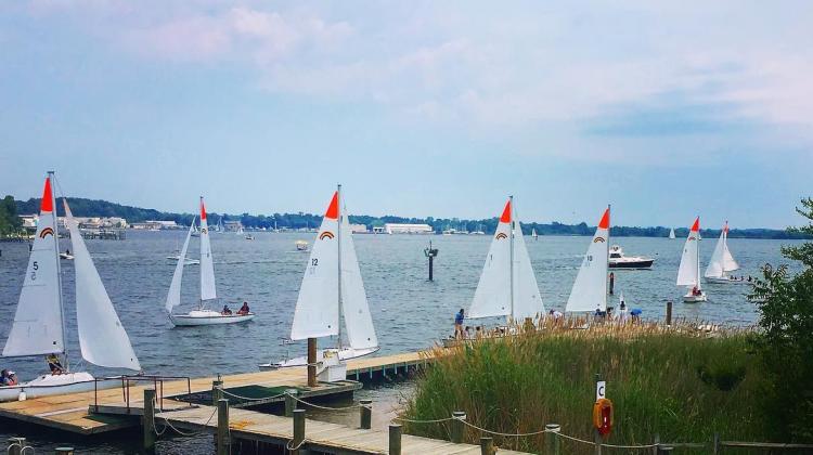 Several small sailboats with white sails and orange tips are docked and sailing on a lake, with people aboard. The scene includes docks, tall grass, and a cloudy sky in the background.