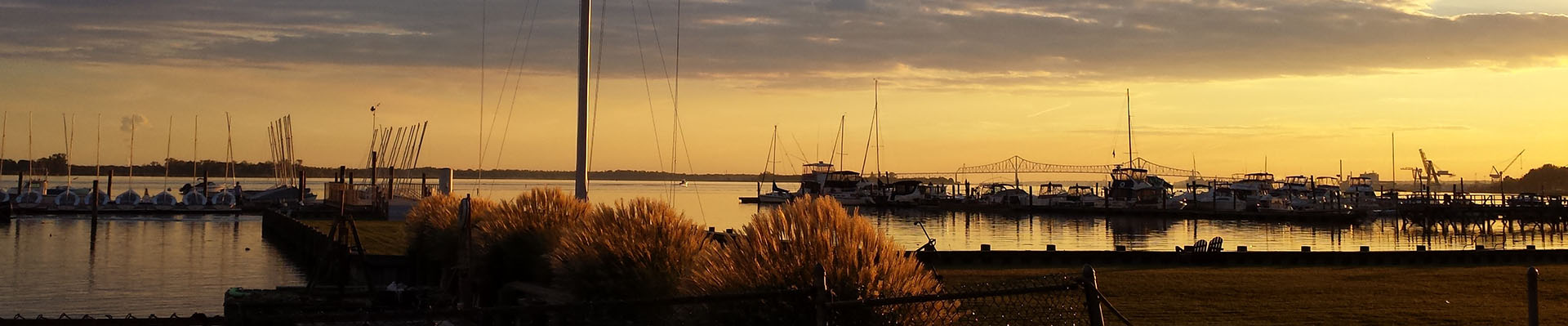 A golden sunset over a calm marina with boats docked, tall grasses in the foreground, and a bridge silhouetted against the sky in the distance.
