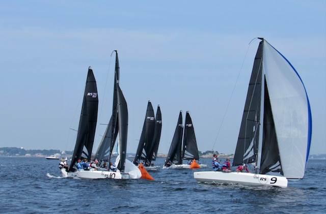 Several sailboats with black and white sails race on open water under a clear sky, with people onboard and distant land visible in the background.