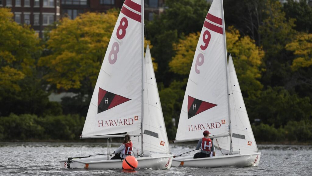 Two people sailing small boats with 'Harvard' and the Harvard logo on the sails. The boats are on a river near a red buoy, with trees and a building in the background.