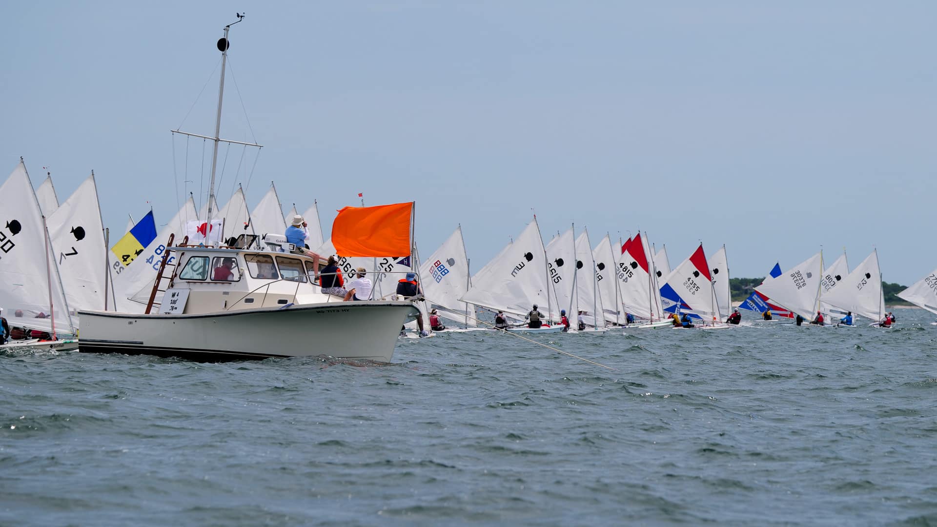 A group of small sailboats with numbered sails lines up at the start of a race near a white motorboat, which displays an orange flag. The scene takes place on open water under a clear sky.