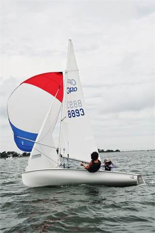 A person sails a small white boat with red, white, and blue sails on a calm body of water under a cloudy sky. The sail has the number 8893 and '420' printed on it. Land is visible in the background.