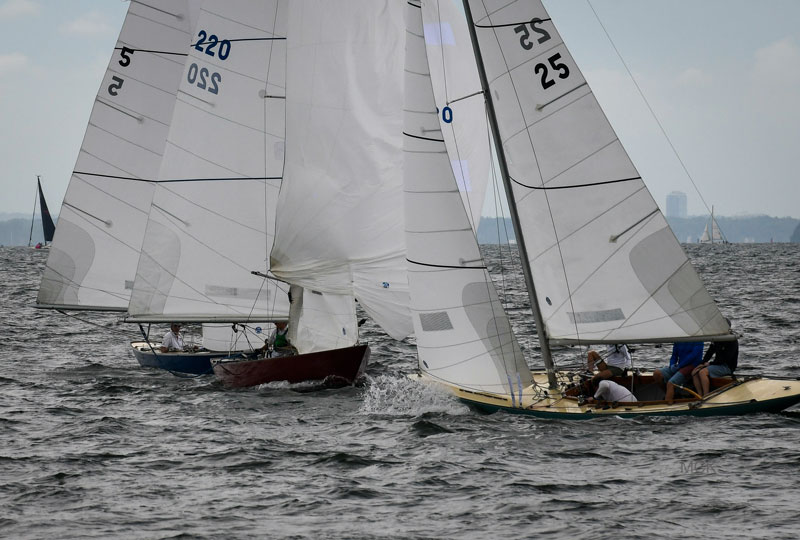Three sailboats with white sails are racing close together on slightly choppy water, with people adjusting the sails. A distant shoreline and other boats are visible in the background.