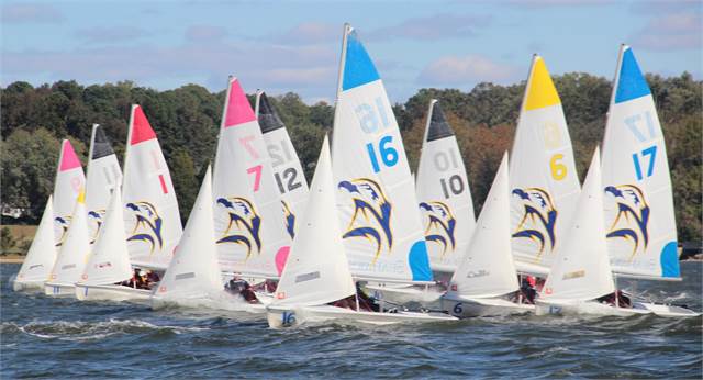 Several small sailboats with colorful numbered sails race closely together on a lake, with trees and blue sky in the background. The boats are cutting through choppy water, suggesting windy conditions.