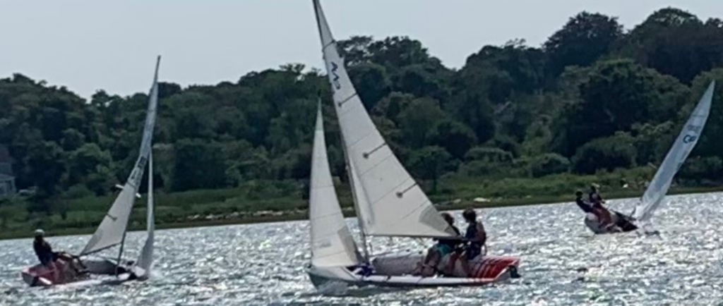 Three small sailboats with people on board are sailing on a sunny, sparkling body of water, with green trees and foliage visible on the shoreline in the background.