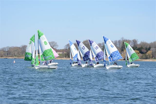 A group of small sailboats with colorful sails, each marked with different numbers, race on a calm body of water under a clear blue sky with trees and shoreline in the background.