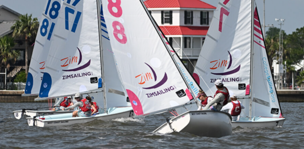 Three small sailboats with white sails, each marked with 'ZIMSAILING,' race on a river near a red-roofed building. Sailors in red life vests steer the boats, with trees and houses visible in the background.