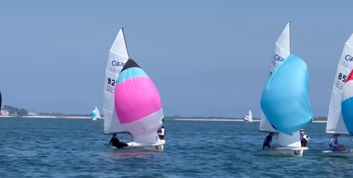 Several small sailboats with colorful sails, including pink, blue, and a mix of both, race on a calm body of water under a clear sky. Land is visible in the distance.