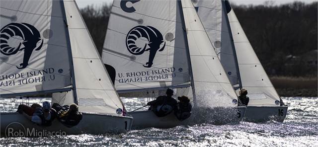 Three sailboats racing on the water with 'U. Rhode Island' and ram logos on their sails. Sailors are visible on each boat, and sunlight reflects on the rippling water. Trees line the background.