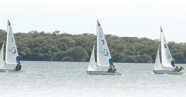 Three small sailboats with numbered sails (1, 3, and 6) are racing on a body of water, with multiple people on each boat. Trees and greenery are visible in the background under a bright sky.