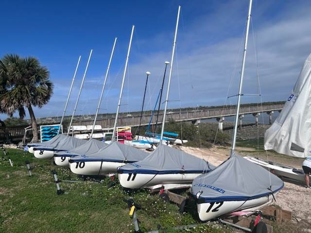 A row of covered sailboats with visible numbers, including 8, 9, 10, 11, and 12, are lined up on land beside grass and a palm tree, with a bridge and blue sky in the background.