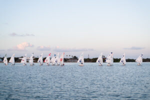 A group of small sailboats with white sails are racing on calm water near the shore, with houses, palm trees, and a clear sky in the background.