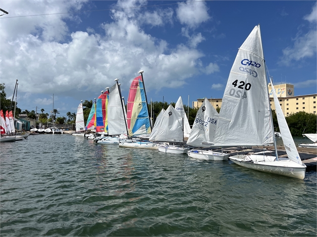 Several small sailboats with colorful sails are docked at a marina on a sunny day. The water is calm, and there are buildings and trees in the background under a blue sky with scattered clouds.