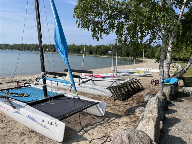 Several catamarans and kayaks are lined up on a sandy lakeshore with calm water, trees in the background, and a stone wall along the edge near a birch tree. It is a clear, sunny day.