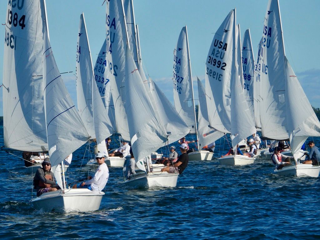 A group of small sailboats with white sails and "USA" markings are racing closely together on blue water under a clear sky. Sailors are focused, adjusting sails and steering their boats.