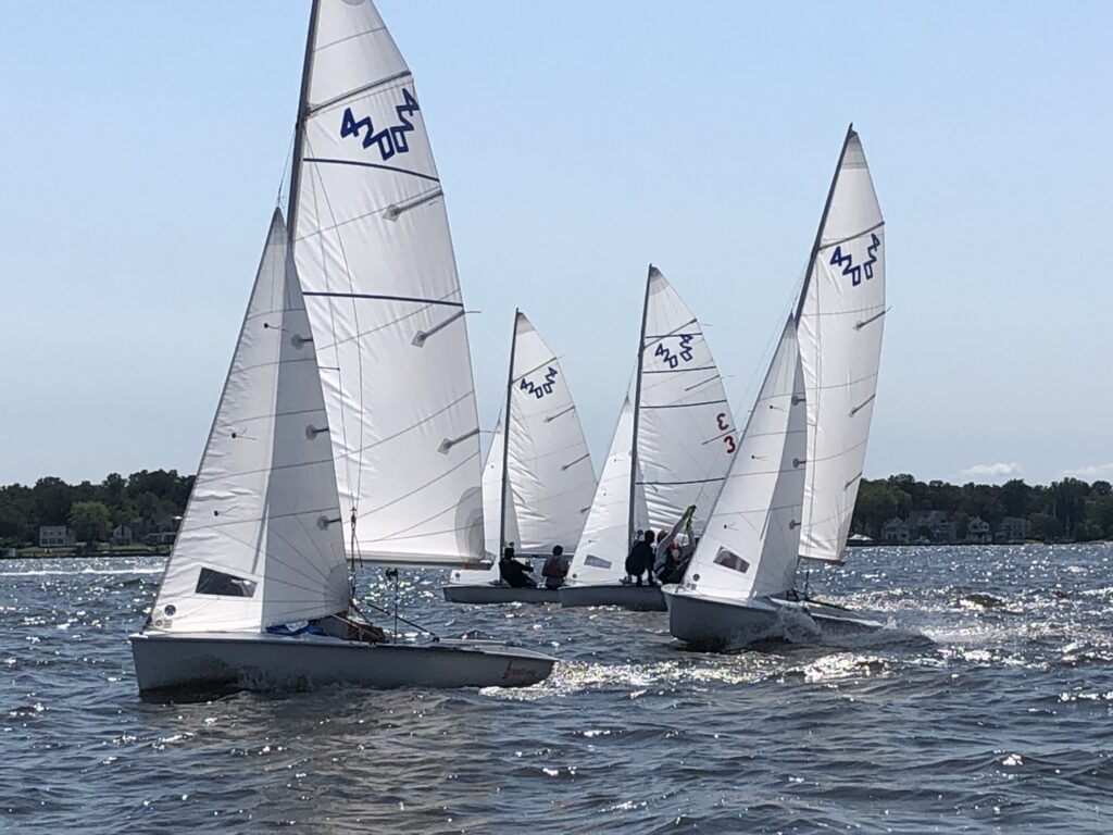 Four small sailboats with white sails are racing closely together on a sunny day, with a shoreline and trees visible in the background. The water is choppy, and the sails catch the wind as the boats move forward.