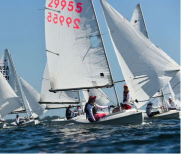 Several sailboats with white sails and visible numbers are racing on a sunny day, with people maneuvering the boats on blue water under a clear sky.