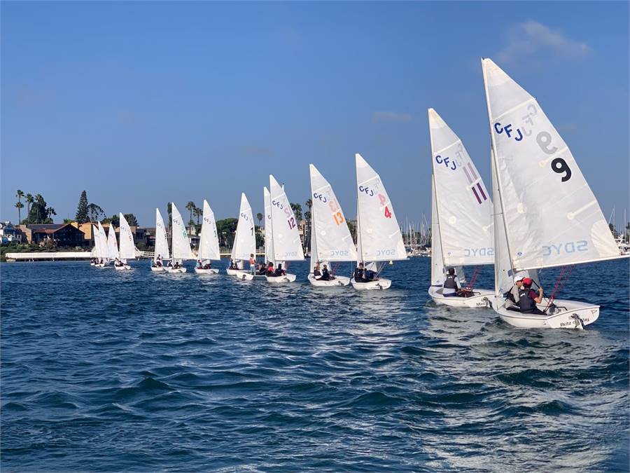A line of small sailboats with white sails race on blue water near a shoreline with trees, buildings, and a clear blue sky in the background.